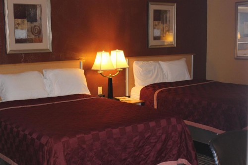The Executive Inn & Suites - image 12