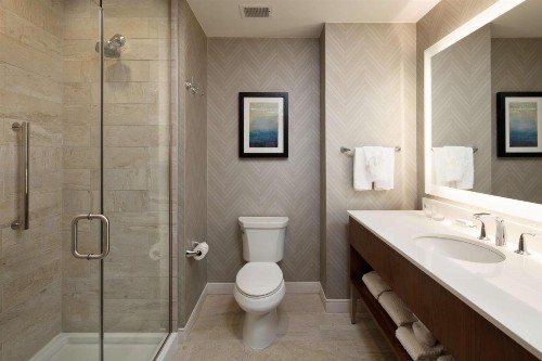 Embassy Suites Amarillo Downtown - image 10