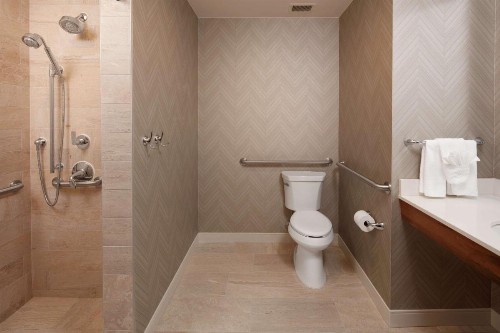Embassy Suites Amarillo Downtown - image 2