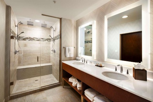 Embassy Suites Amarillo Downtown - image 4