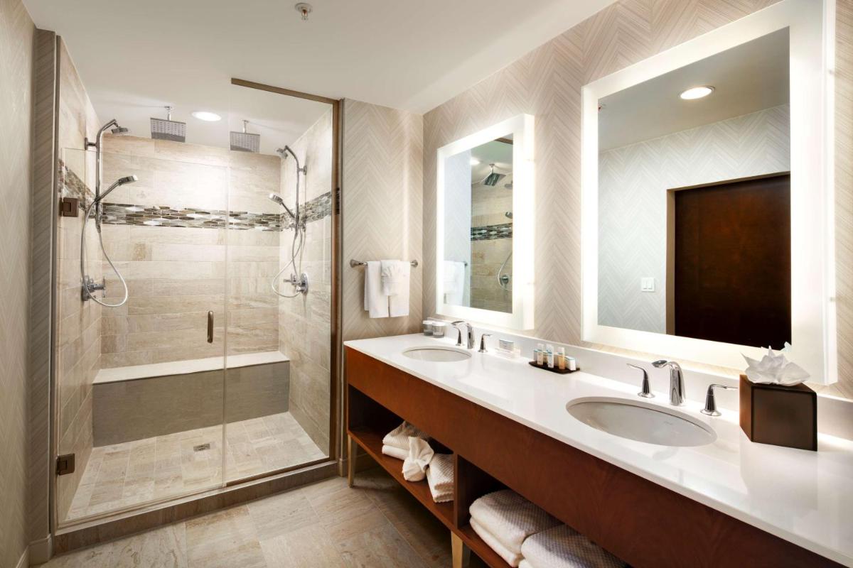 Embassy Suites Amarillo Downtown - image 4