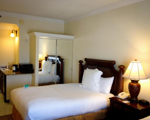 Amelia Hotel at the Beach - image 42