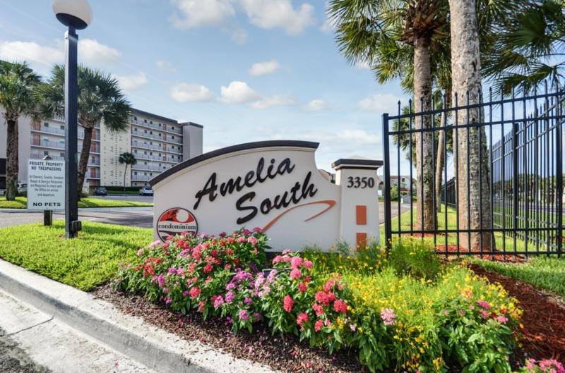 Amelia South - B4 - image 4