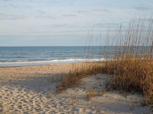 Amelia Island Oceanfront Condo - image 48