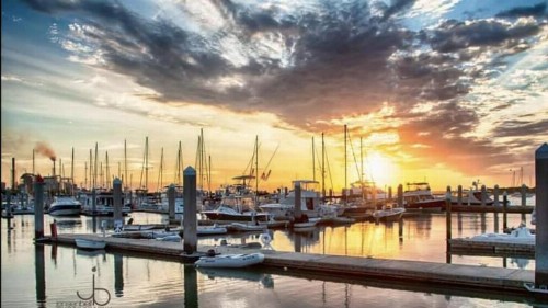 Amelia Island Oceanfront Condo - image 50