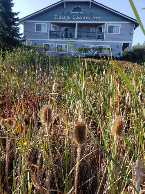 Fidalgo Country Inn - image 9