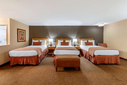 Best Western Plus Pavilions - image 25