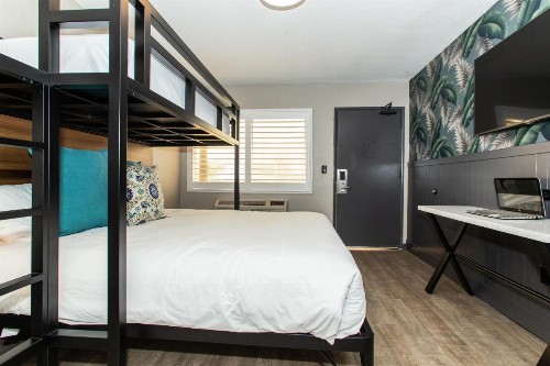 Magnolia Tree Hotel-Maingate/Anaheim Convention Center - image 15