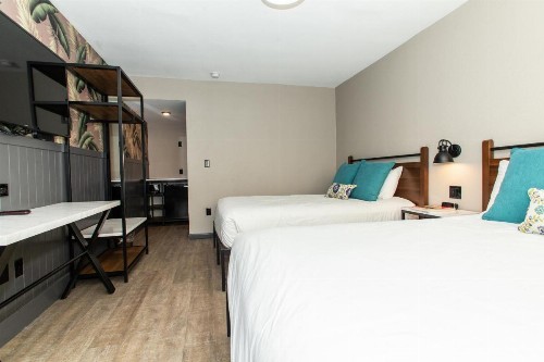 Magnolia Tree Hotel-Maingate/Anaheim Convention Center - image 5