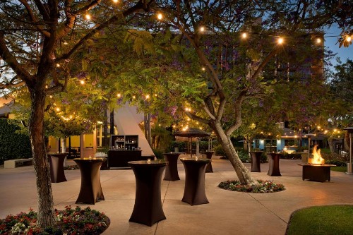 Sheraton Park Hotel at the Anaheim Resort - image 27
