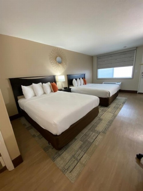 Stanford Inn & Suites Anaheim - image 36