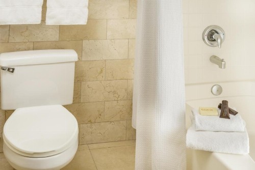 Ayres Hotel Anaheim - image 9