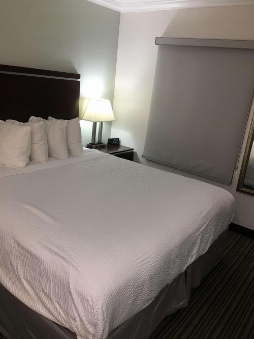 Best Western Courtesy Inn - Anaheim Park Hotel - image 13
