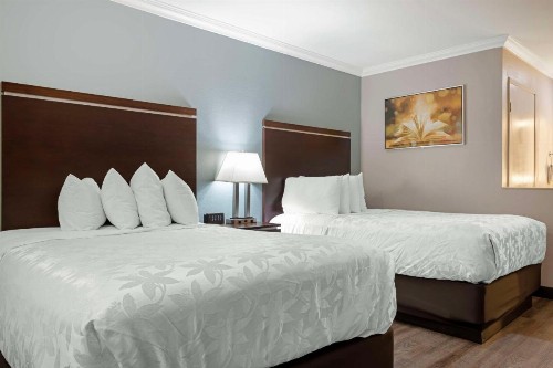 Best Western Courtesy Inn - Anaheim Park Hotel - image 8