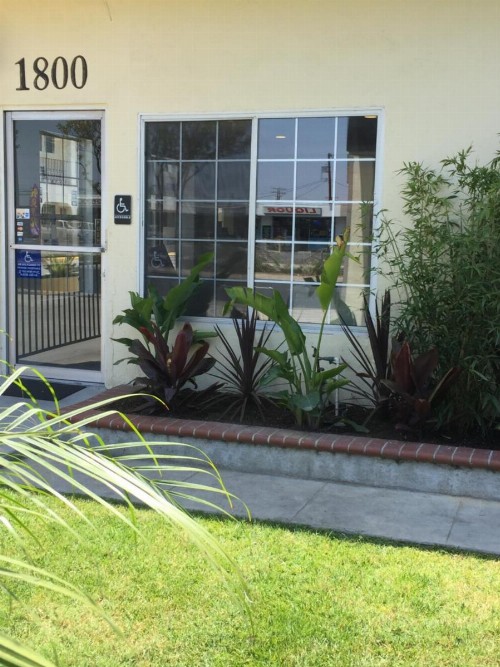Executive Inn & Suites - image 3