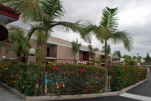 Budget Inn Anaheim near Disneyland Drive - image 12
