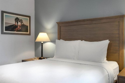 Club Wyndham Dolphin's Cove - image 11
