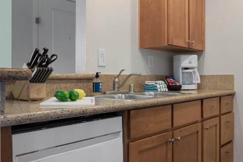 Club Wyndham Dolphin's Cove - image 21