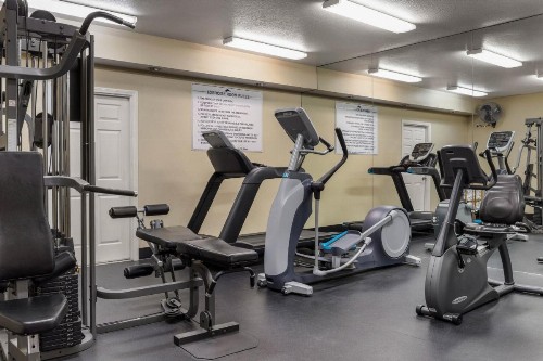 Club Wyndham Dolphin's Cove - image 3