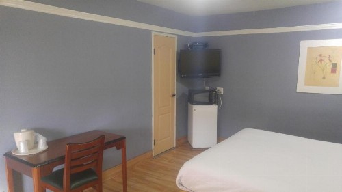 Riviera Motel - image 11