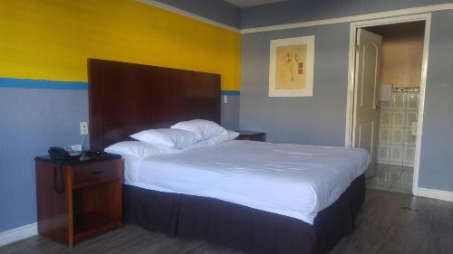 Riviera Motel - image 14