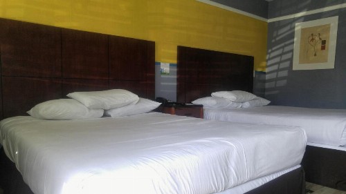 Riviera Motel - image 18