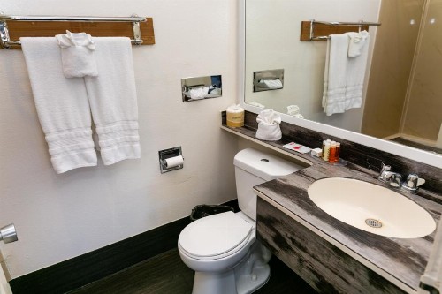 Anaheim Discovery Inn and Suites - image 43