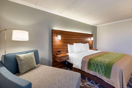 Comfort Inn Anaheim Resort - image 11