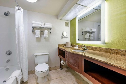 Comfort Inn Anaheim Resort - image 16