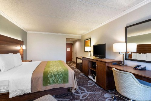 Comfort Inn Anaheim Resort - image 20