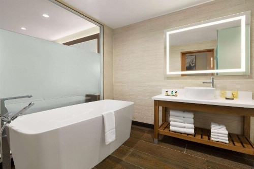 Wyndham Anaheim - image 13