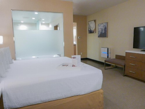 Wyndham Anaheim - image 19