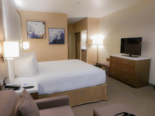 Wyndham Anaheim - image 26