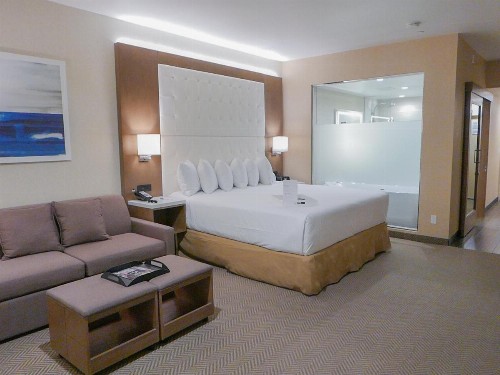 Wyndham Anaheim - image 45