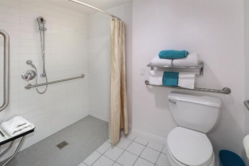 Anaheim Hotel - image 17