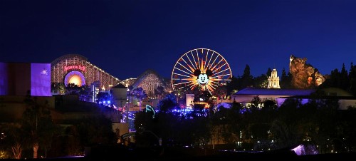 Anaheim Hotel - image 49