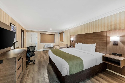 Quality Inn & Suites Anaheim Maingate - image 19