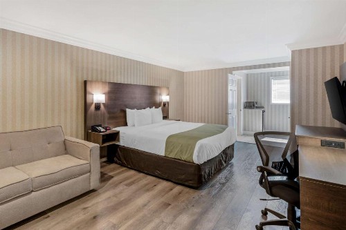 Quality Inn & Suites Anaheim Maingate - image 21