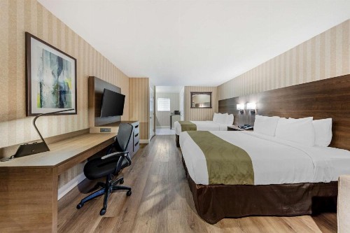 Quality Inn & Suites Anaheim Maingate - image 36