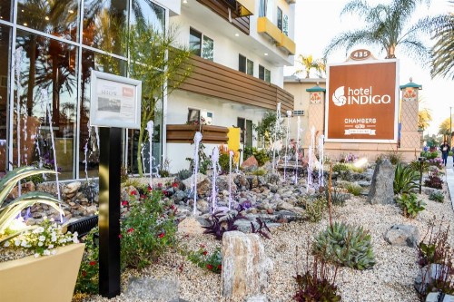 Hotel Indigo Anaheim an IHG Hotel - image 2