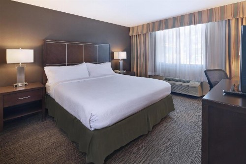 Holiday Inn Hotel & Suites Anaheim an IHG Hotel - image 17