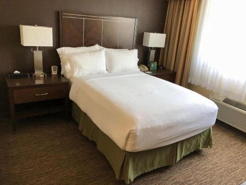 Holiday Inn Hotel & Suites Anaheim an IHG Hotel - image 5