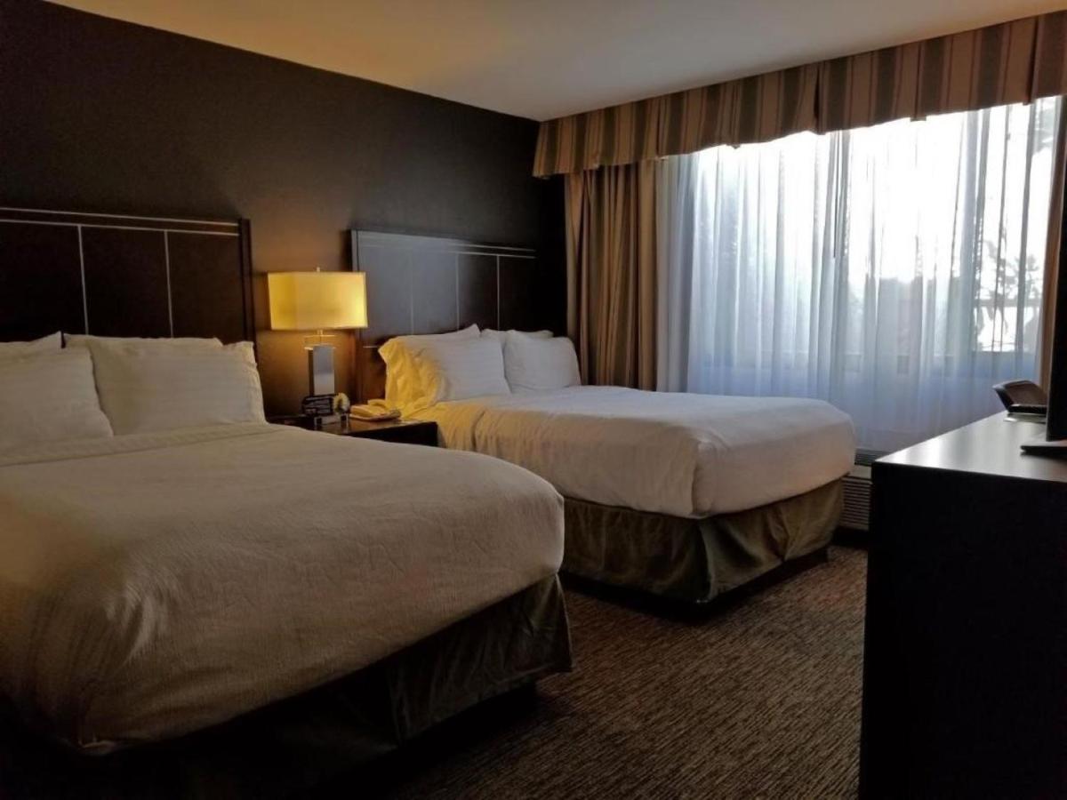 Holiday Inn Hotel & Suites Anaheim an IHG Hotel - image 6