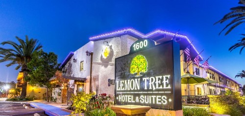 The Lemon Tree Hotel - image 23
