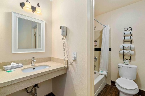 The Lemon Tree Hotel - image 28