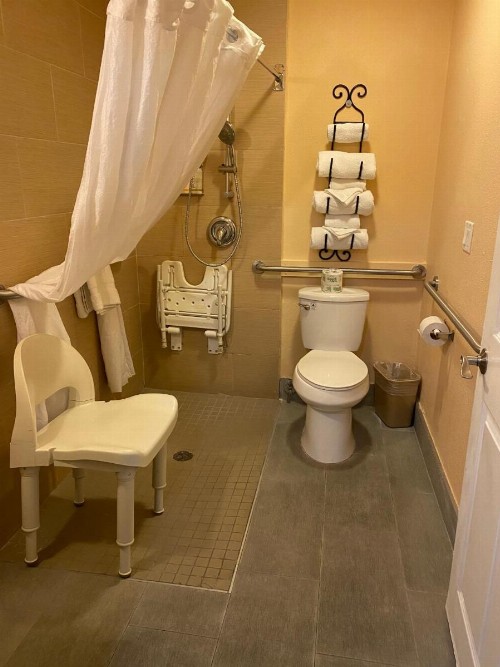 The Lemon Tree Hotel - image 30
