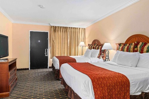 The Lemon Tree Hotel - image 31