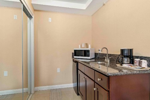 The Lemon Tree Hotel - image 33