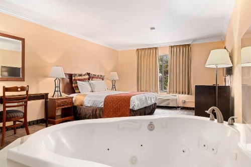 The Lemon Tree Hotel - image 34