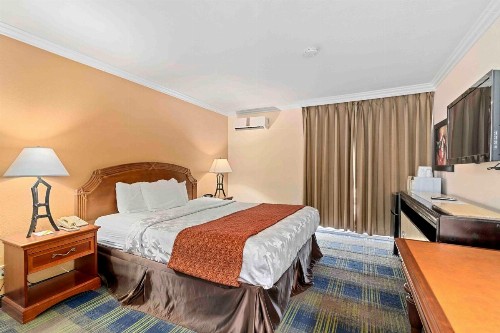 The Lemon Tree Hotel - image 45